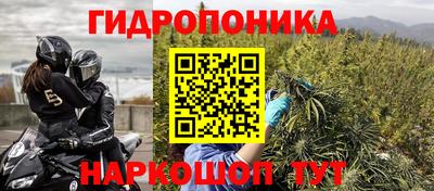 дживик Кандалакша