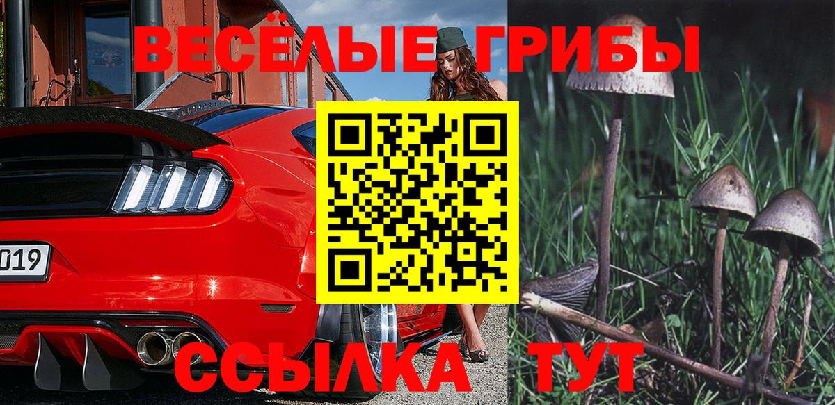 Псилоцибиновые грибы мухоморы Ярославль